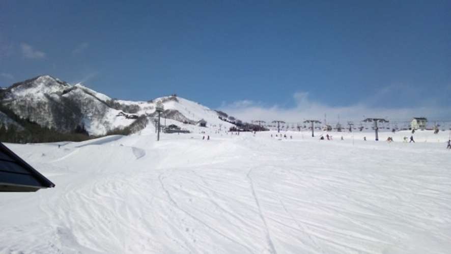 新潟県|岩原スキー場