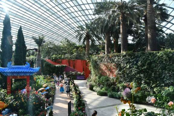 フラワードーム|世界最大級の無柱温室で広がる花の楽園