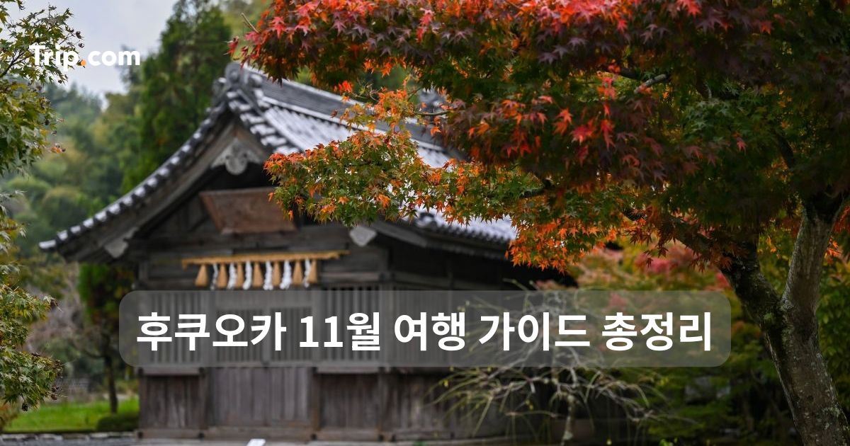 2026 후쿠오카 11월 여행 가이드 총정리 | 트립닷컴