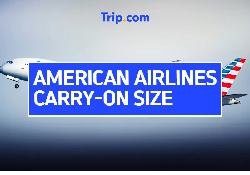American Airlines Carry-On Size Guide: Dimensions, Rules, and Expert Tips | Trip.com