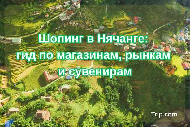 Шопинг в Нячанге: гид по магазинам, рынкам и сувенирам| Trip.com