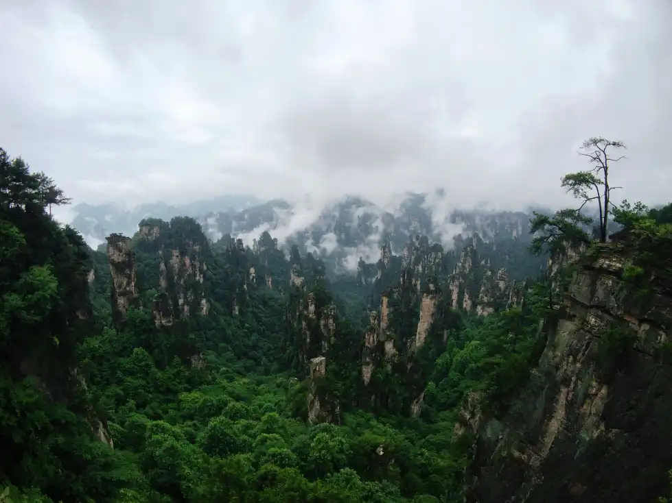Tips Berkunjung ke Taman Hutan Nasional Zhangjiajie