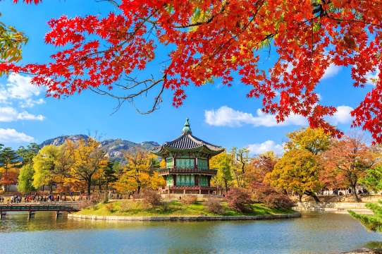 Is China Cheaper Than Korea for Malaysian Tourists? China vs Korea travel cost | Trip.com