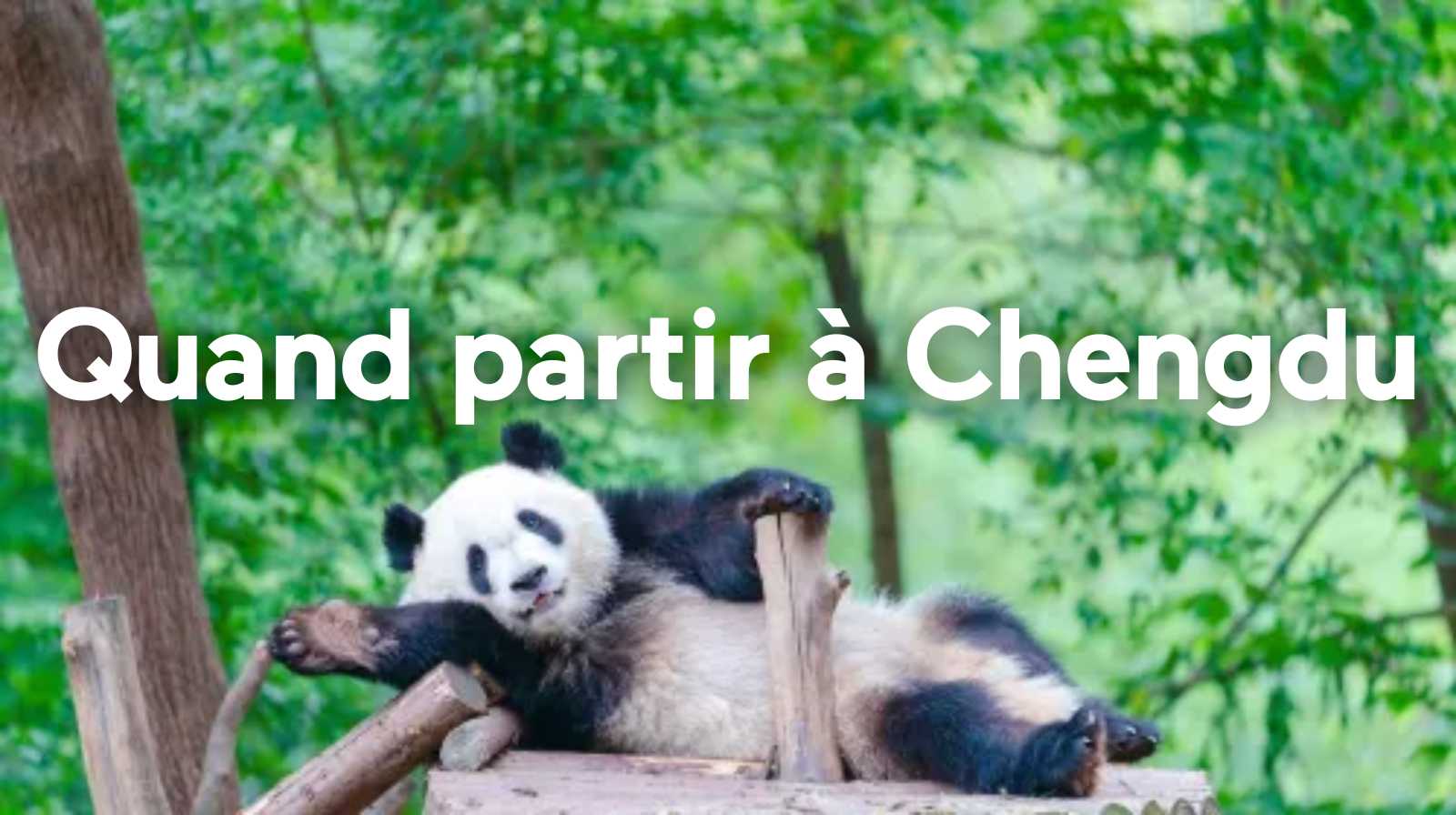 Quand partir à Chengdu