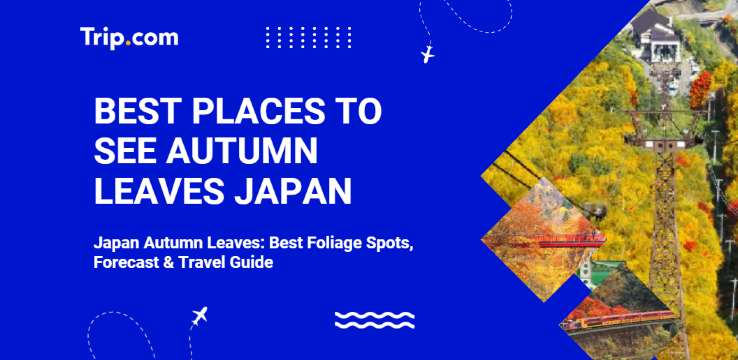 Best Places to See Autumn Leaves Japan