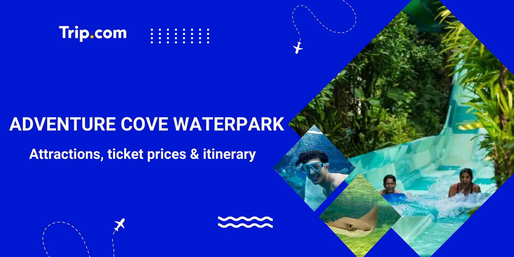Adventure Cove Waterpark Guide