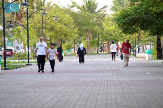 Menjelajah Dengan Berjalan Kaki