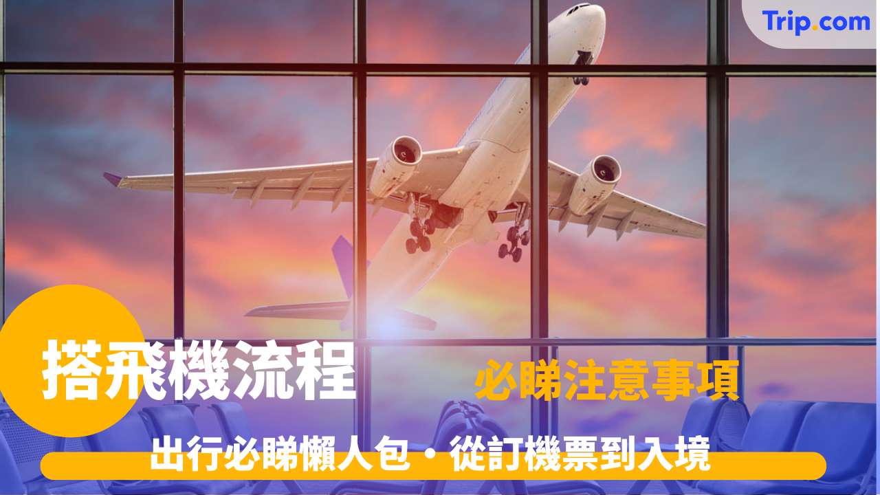 搭飛機流程