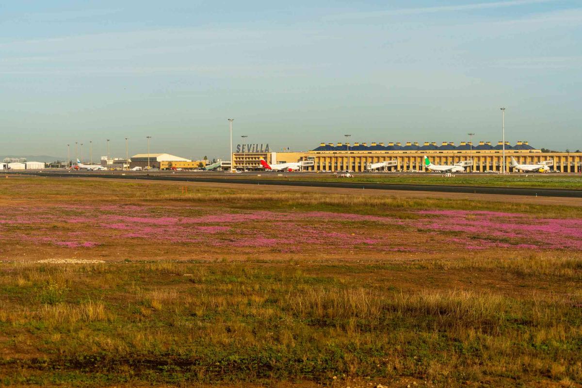 Aeropuerto de Sevilla