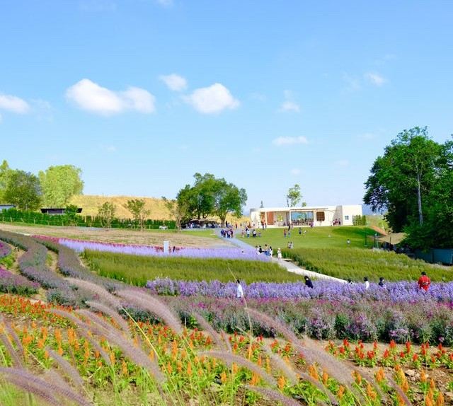 Floryday Khaoyai - สวนดอกไม้เขาใหญ่