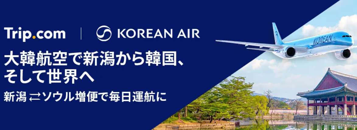 新潟・釧路発韓国行き航空券セール