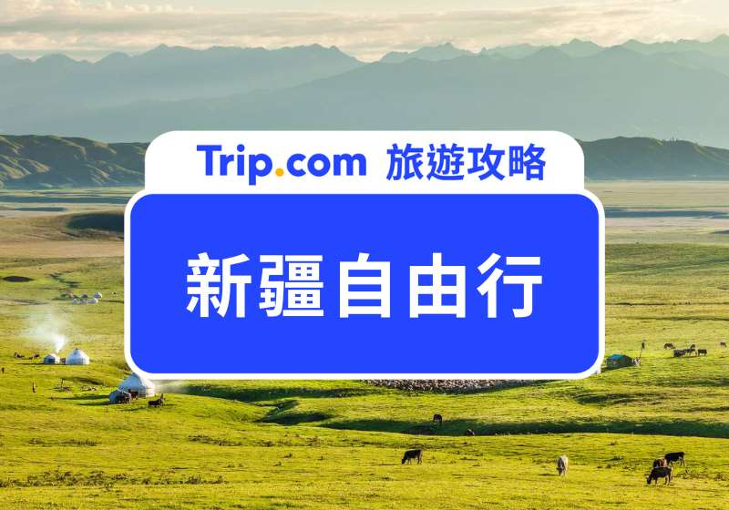 新疆自由行