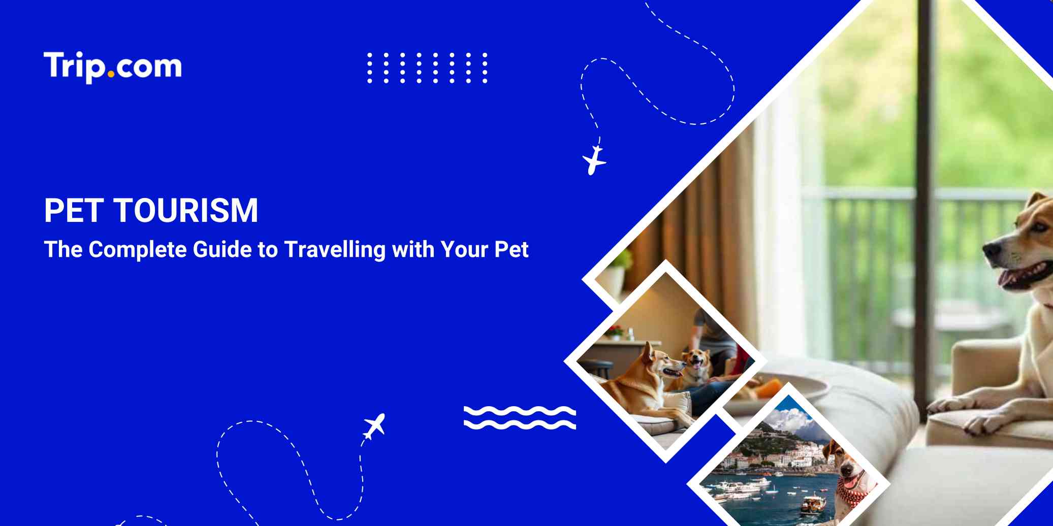 Pet Tourism