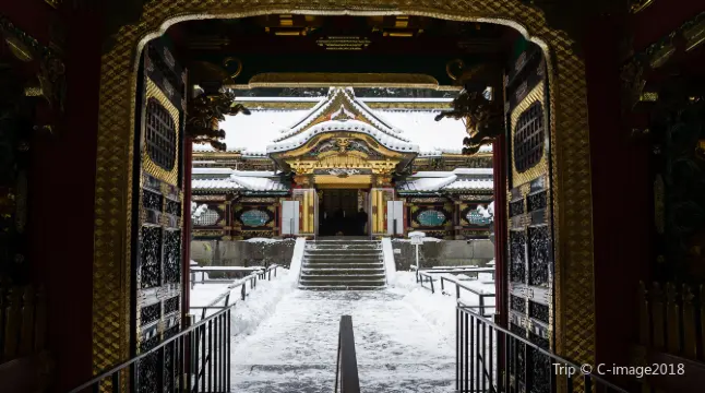 Road Trip Ideas for Tokyo Car Rentals