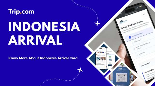 Indonesia Arrival Card