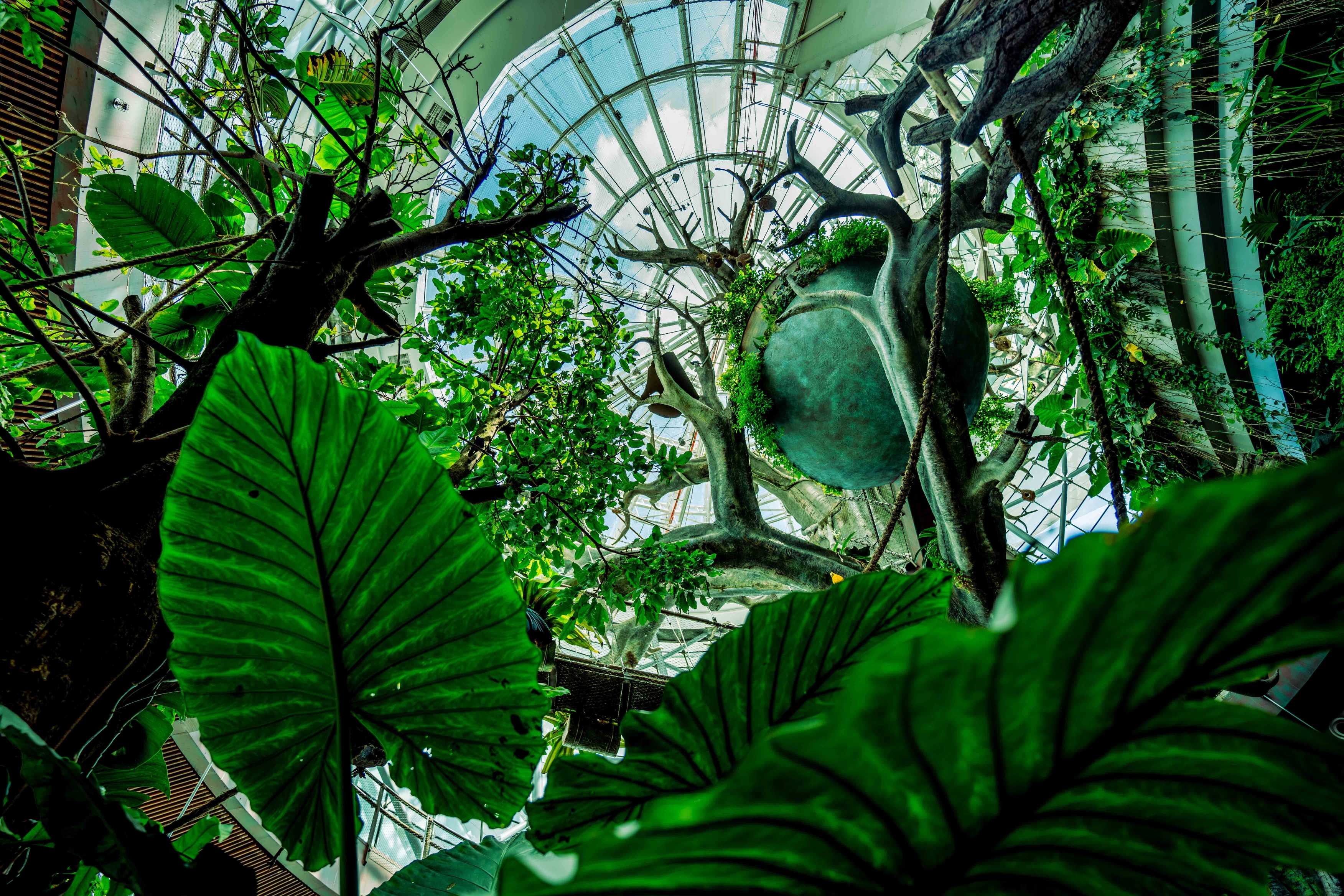 Что такое Грин пленет Дубай