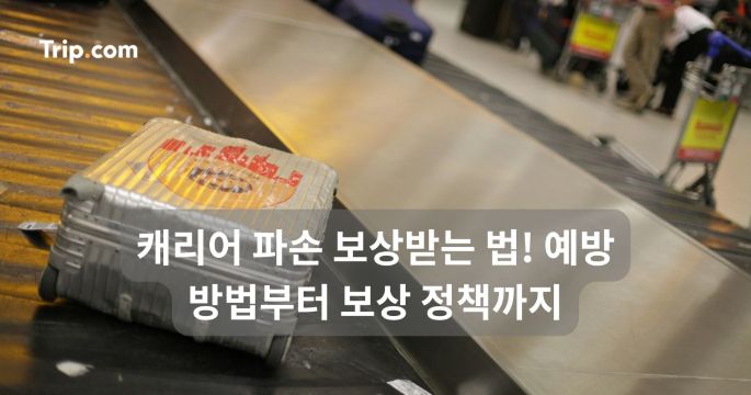 캐리어 파손 보상받는 법! 예방 방법부터 보상 정책까지 | 트립닷컴