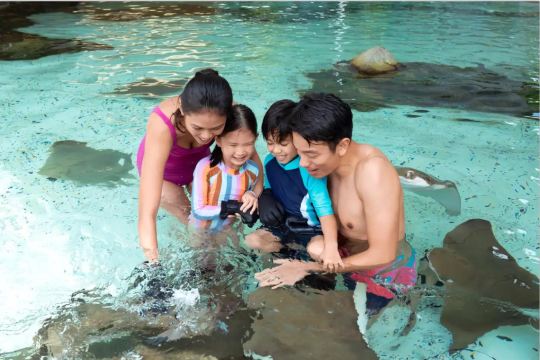 Аквапарк Adventure Cove, гораки для взрослых
