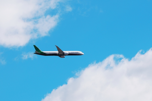 世界の主要マイレージプログラム