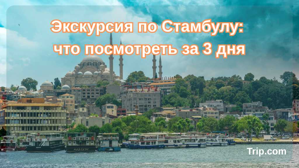 Экскурсия по Стамбулу