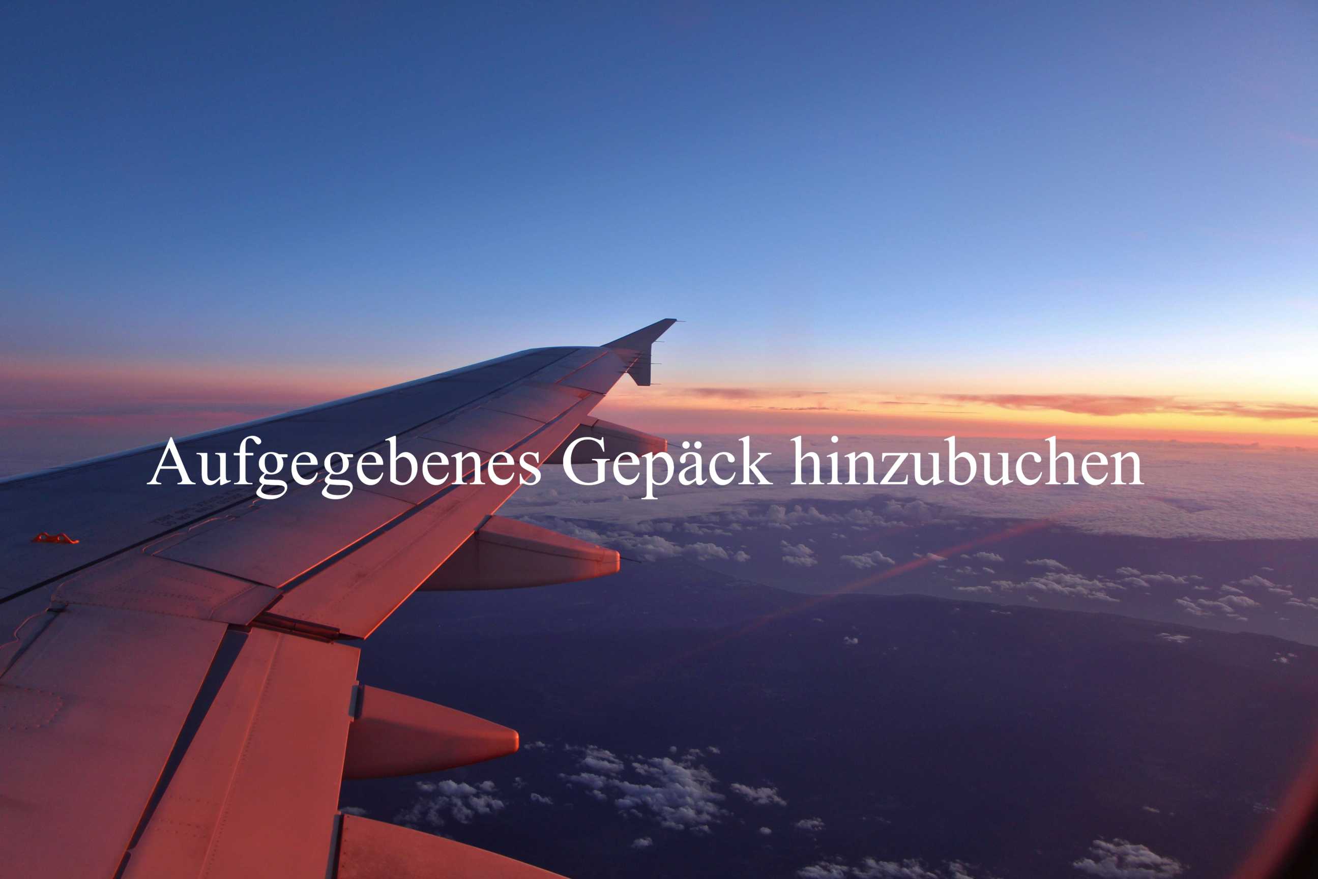 Aufgegebenes Gepäck hinzubuchen