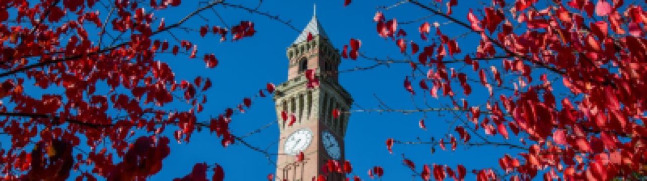 Nottingham to Birmingham: Cheapest vs quickest vs best