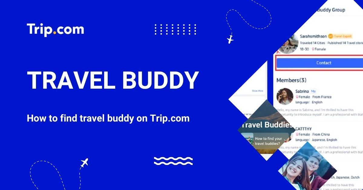 How to Find a Travel Buddy for Free?
