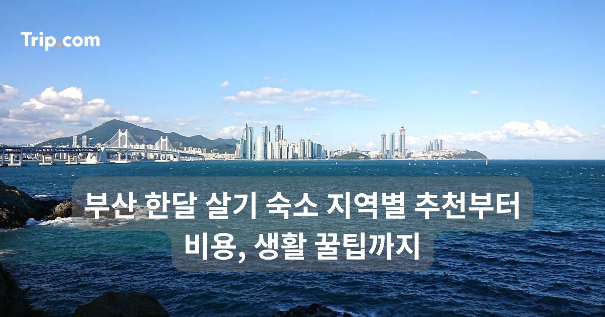 부산 한달 살기 숙소 지역별 추천부터 비용, 생활 꿀팁까지 | 트립닷컴