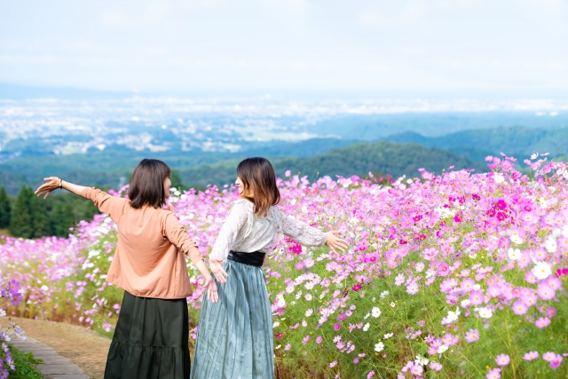 学割を利用して飛行機での旅をもっとお得に