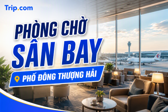 Cẩm nang Phòng chờ Sân bay Phố Đông Thượng Hải 2026 | Trip.com