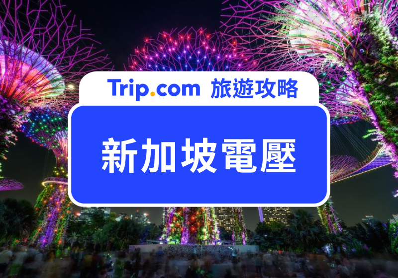 新加坡電壓