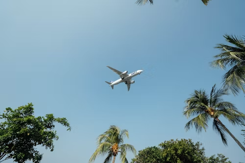 What is a Frequent Flyer Number?