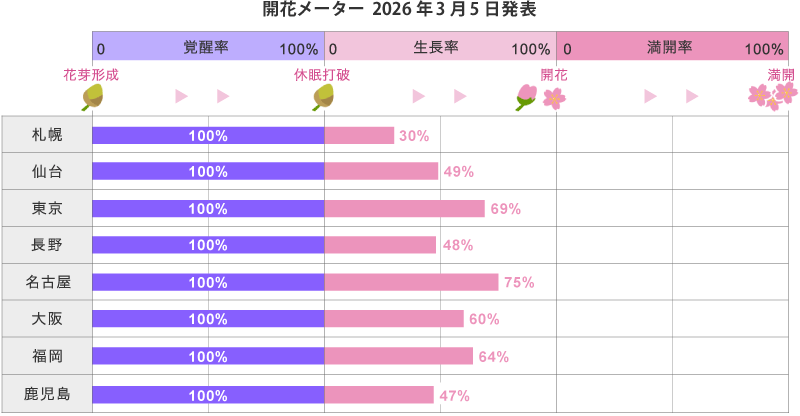 2026 日本櫻花開花儀表