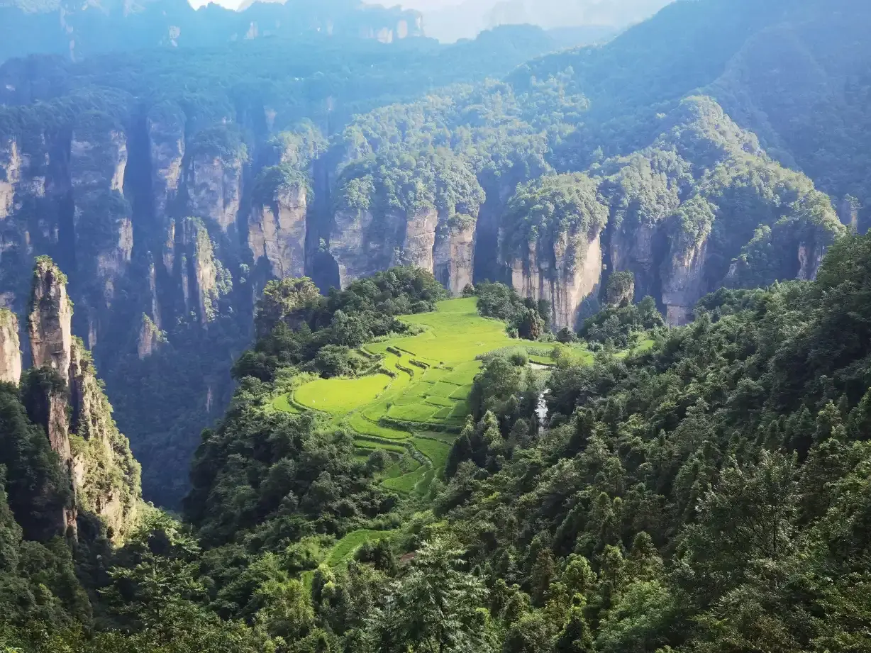 Cara Menuju Taman Hutan Nasional Zhangjiajie dari Pusat Kota