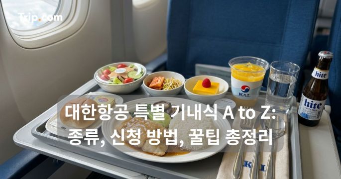 대한항공 특별 기내식 A to Z: 종류, 신청 방법, 꿀팁 총정리 | 트립닷컴