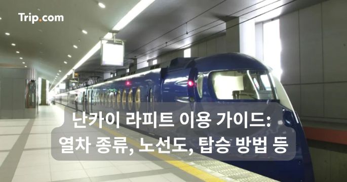 난카이 라피트 이용 가이드: 열차 종류, 노선도, 탑승 방법 | 트립닷컴