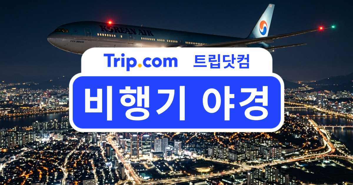 비행기 야경 완벽 감상 가이드