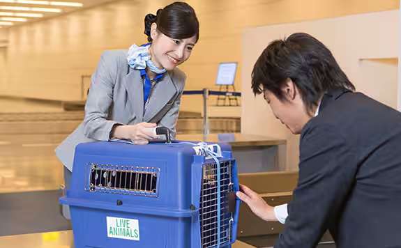 到着後の受け取り方法