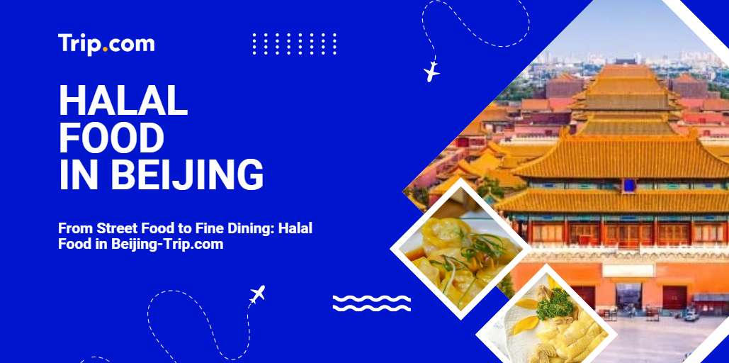 Halal Food in Beijing-Trip.com