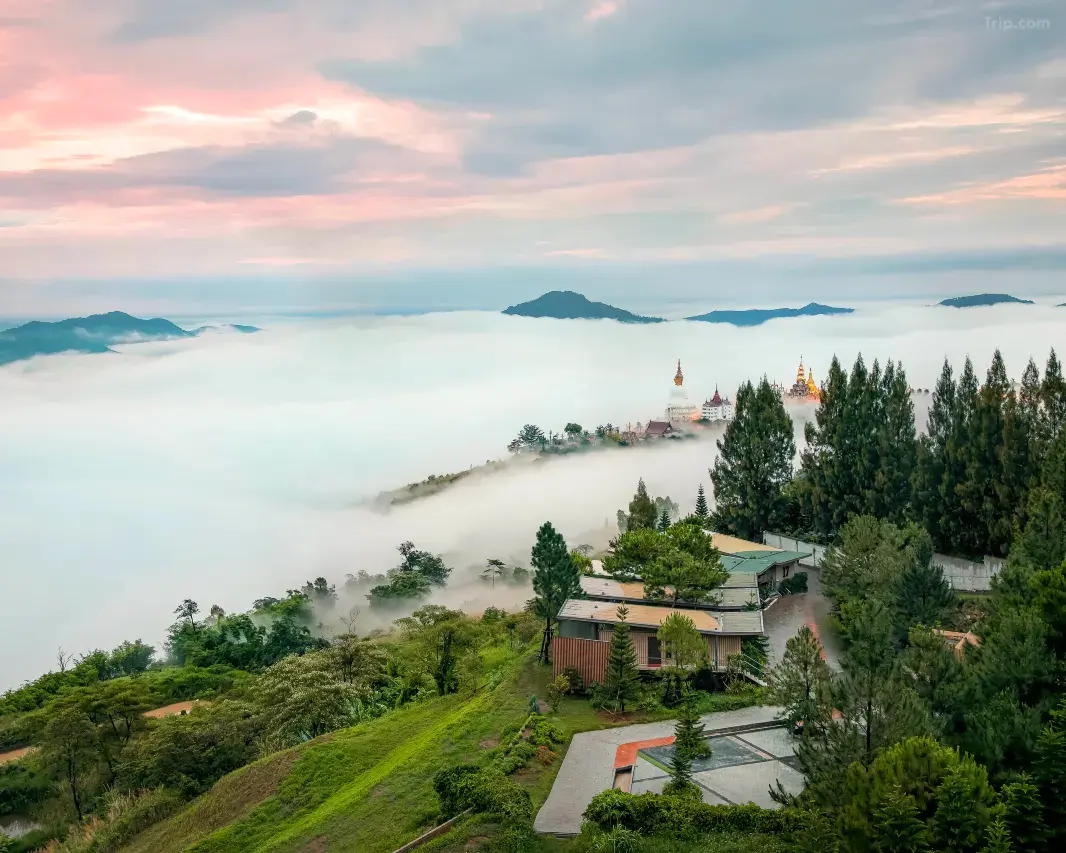 พีโน่ ลาเต้ รีสอร์ท