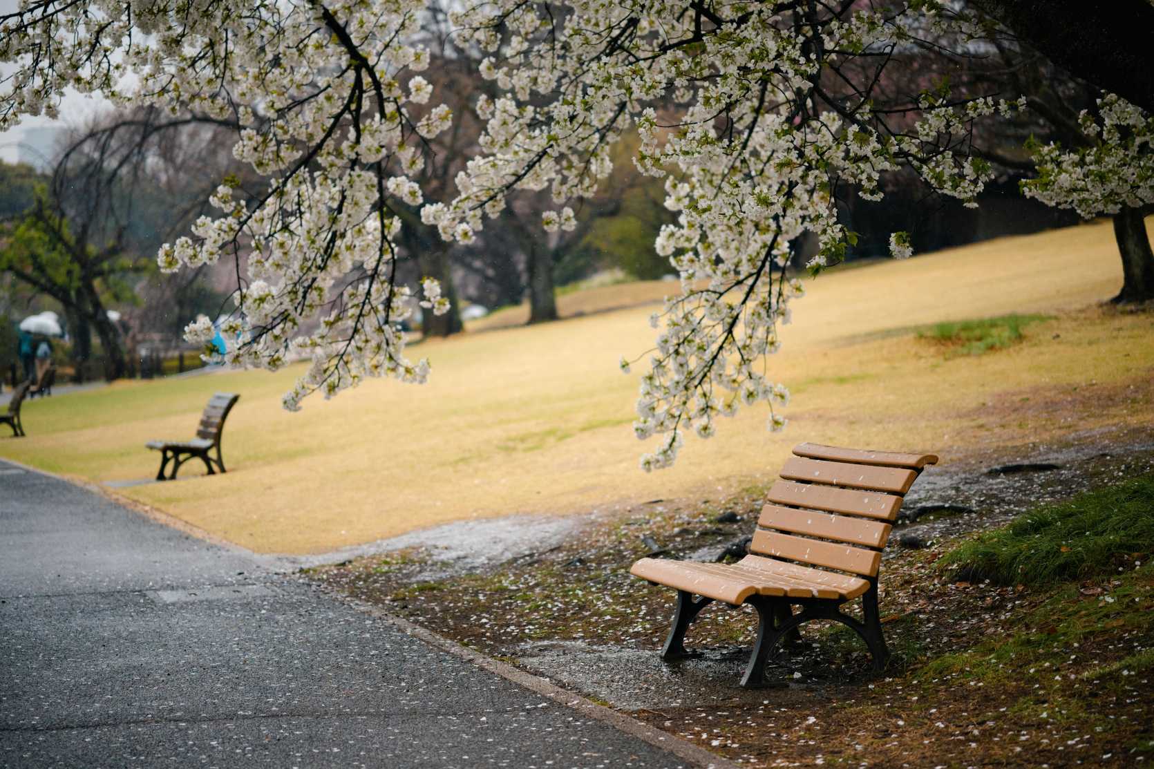 Парки Токио
