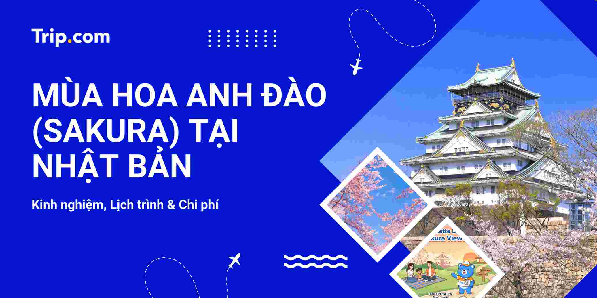 Du lịch Nhật Bản mùa hoa anh đào 2026: Kinh nghiệm, Lịch trình & Chi phí | Trip.com