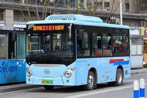 bis di chongqing