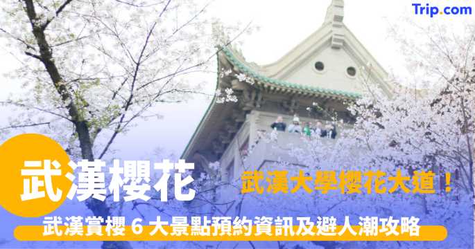 武漢櫻花：6 大武漢櫻花景點大公開！附武大櫻花預約攻略  | Trip.com