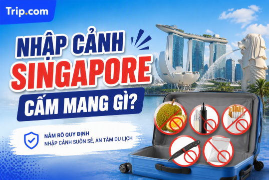 Nhập cảnh Singapore cấm mang gì? Cập nhật quy định hải quan 2026 | Trip.com