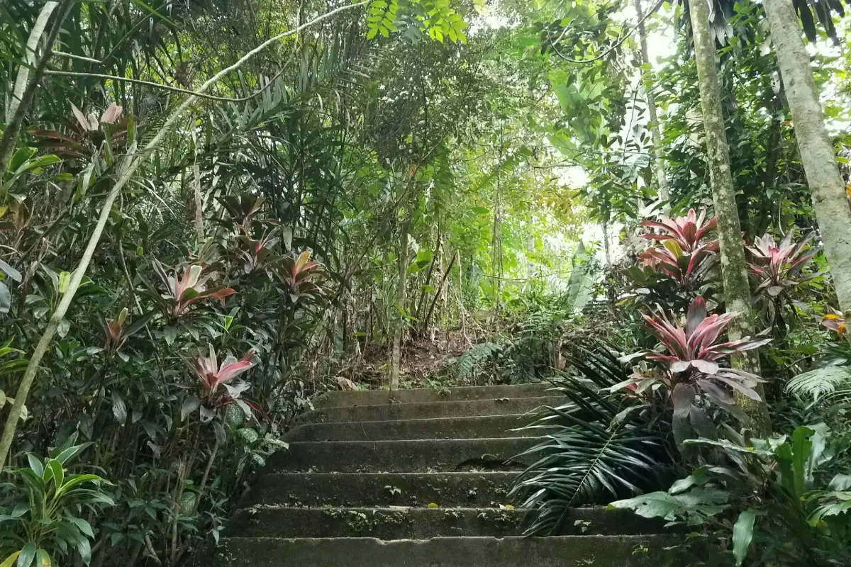 Bukit Reserve