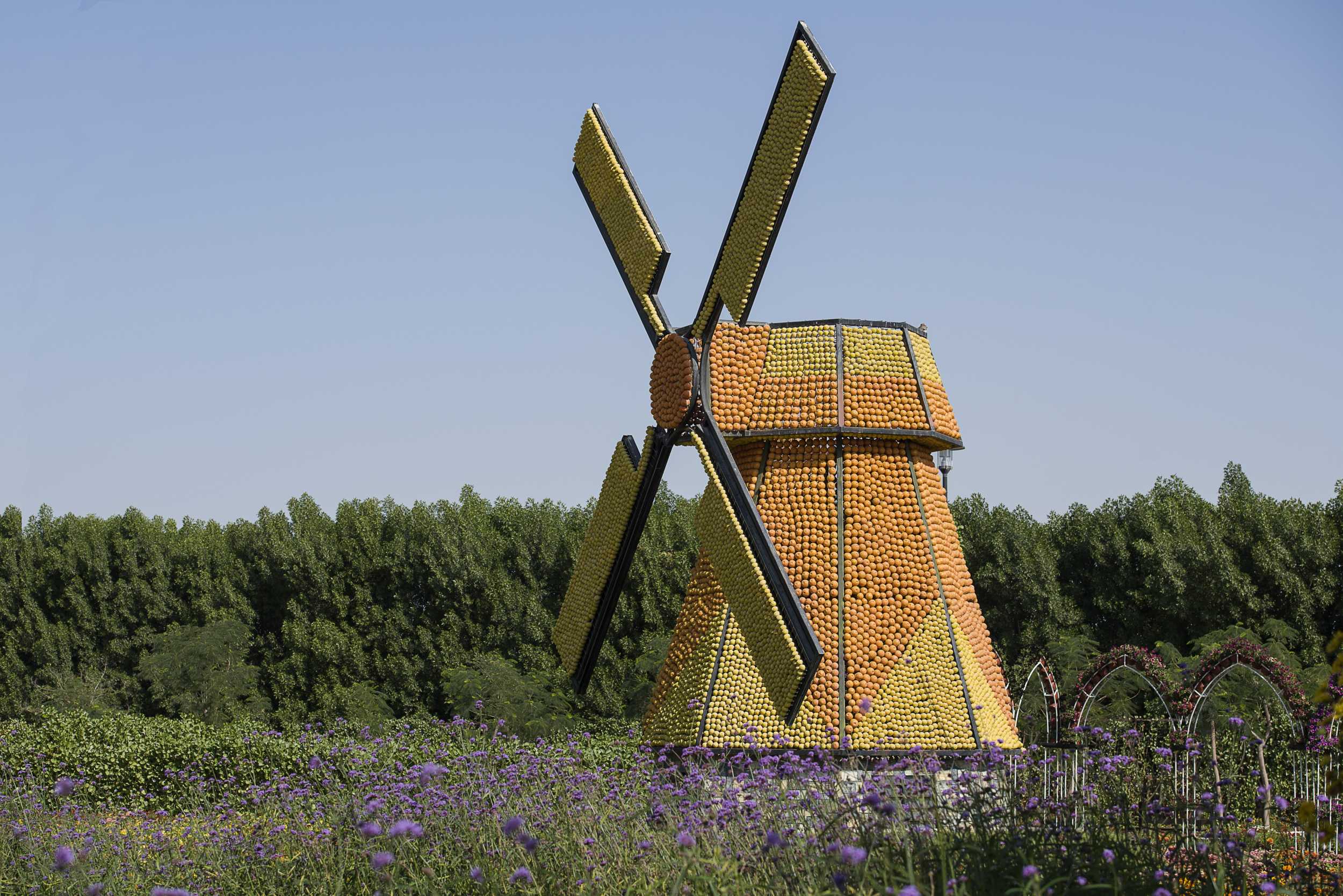 Miracle Garden дубай когда лучше всего посещать