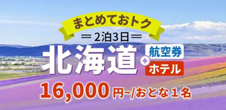 北海道（飛行機＋ホテルパック）