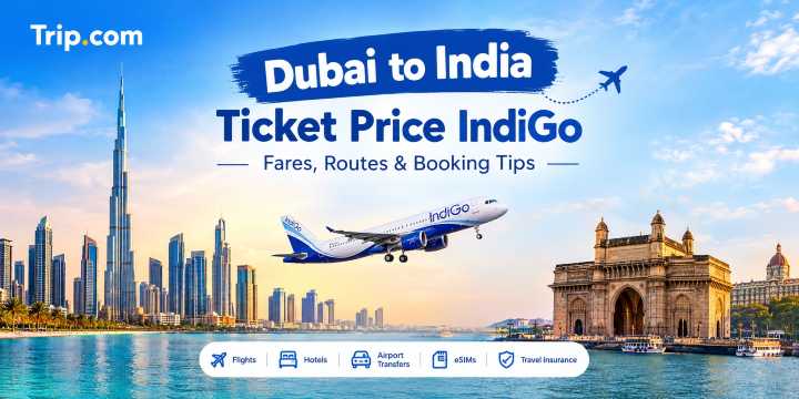 Dubai to India Ticket Price IndiGo (2026): Fares, Routes & Booking Tips | Trip.com