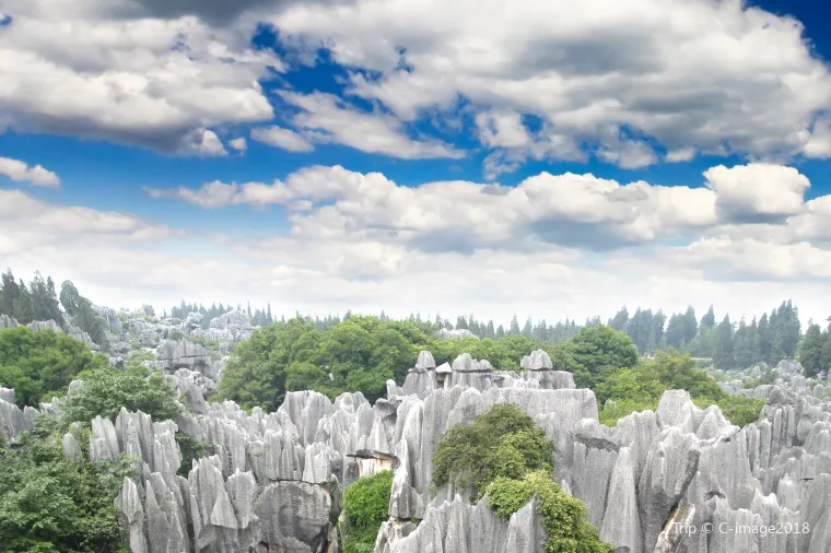 Kunming Stone Forest Scenic Area
